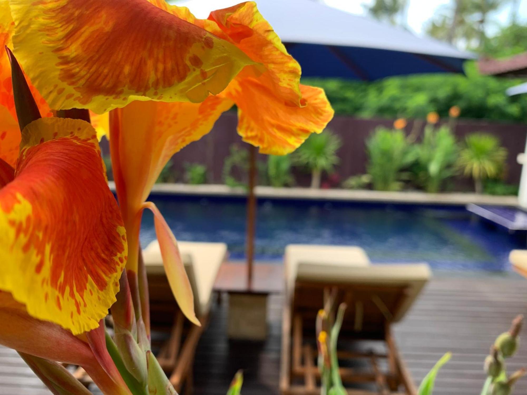 Relax Villas Gili Air Eksteriør billede